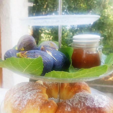 B&B Blanda Maratea Eksteriør billede